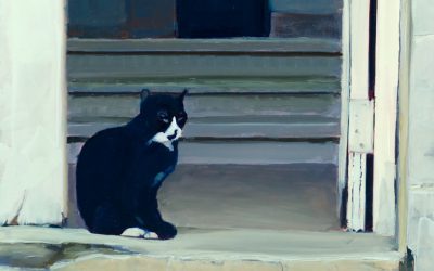Cuba Cat