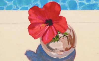 Hibiscus and Pool