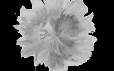 Peony